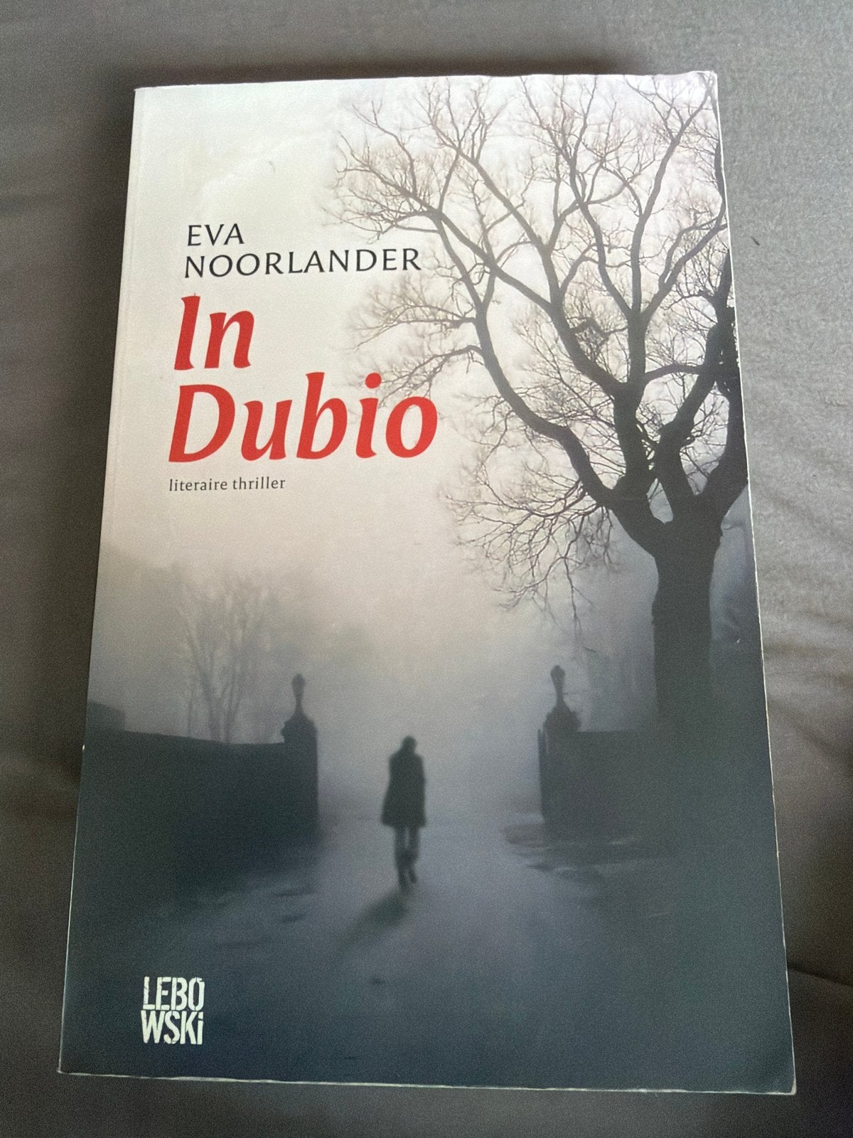 NK.   Eva Noorlander - In Dubio, Boeken, Ophalen of Verzenden, Zo goed als nieuw, Nederland, Eva Noorlander