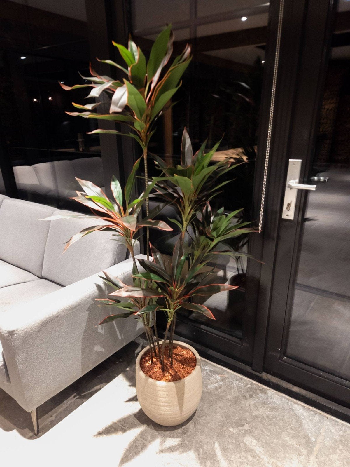 Kunsplant Dracaena 1.50m Nieuw!, Ophalen, Binnen, Groen, Kunstplant