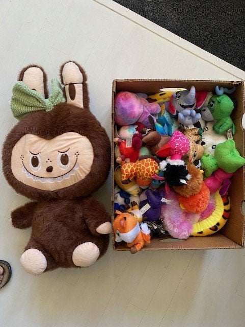 Grote verzameling knuffels, diverse soorten en maten, Overige merken, Overige karakters, Overige typen, Ophalen of Verzenden
