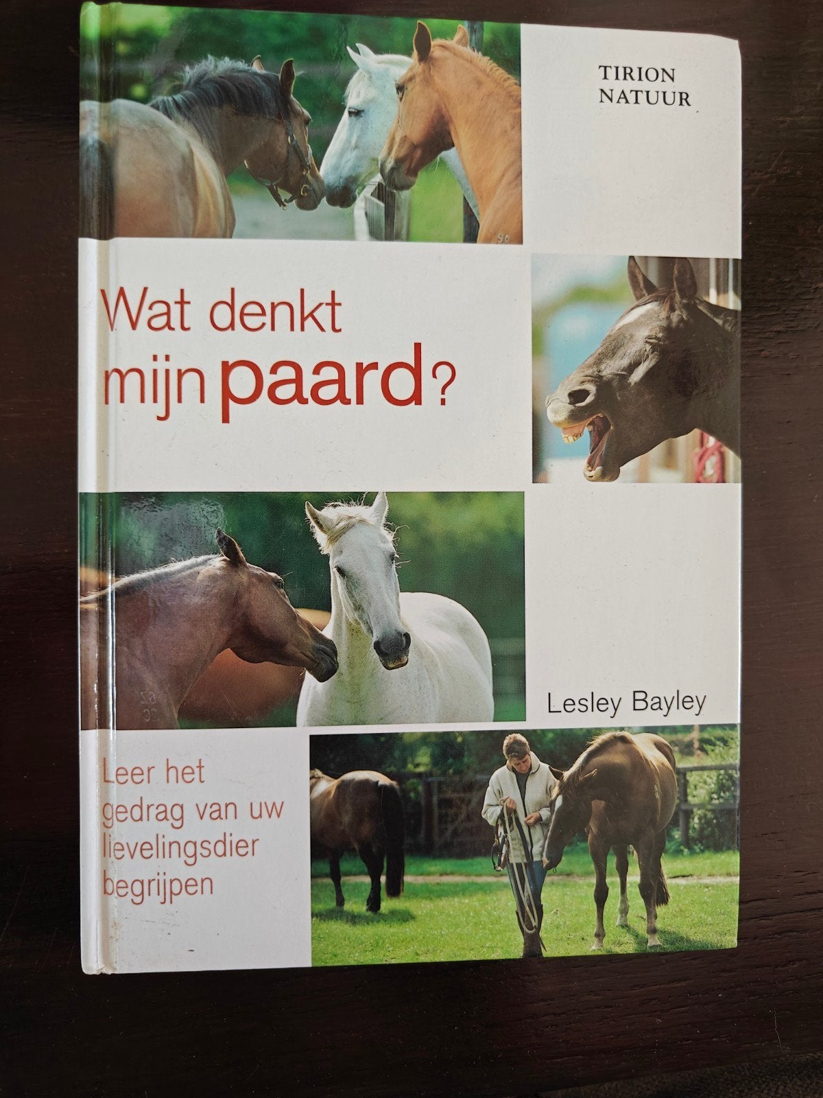 Wat denkt mijn paard? -Leer het gedrag van uwlievelingsdier, Boeken, Ophalen of Verzenden, Zo goed als nieuw, Paarden of Pony's