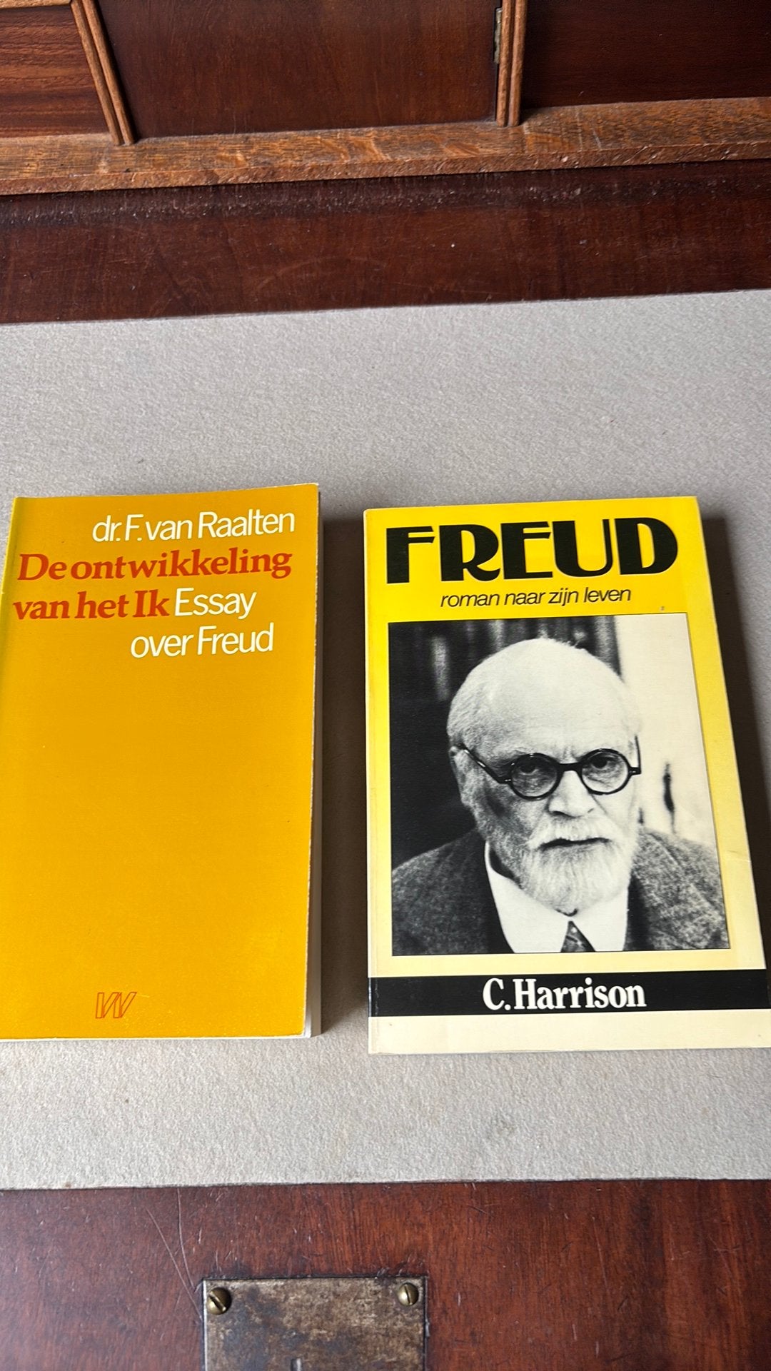 Freud, roman naar zijn leven & Essay over Freud, Ophalen of Verzenden, Gelezen