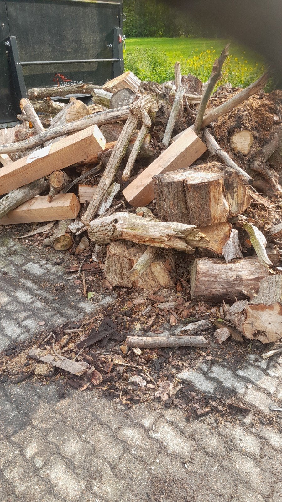 Diverse Houtblokken en Takken - Ideaal voor Brandhout, Tuin en Terras, Minder dan 3 m³, Ophalen, Overige houtsoorten, Blokken