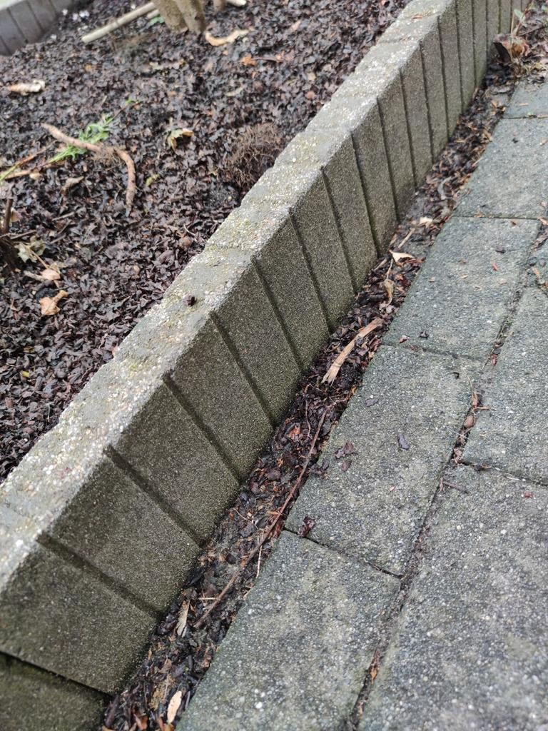 Border van vierkante palisander, 6,5 m, Tuin en Terras, Ophalen, Gebruikt, 25 tot 50 cm, 200 cm of meer