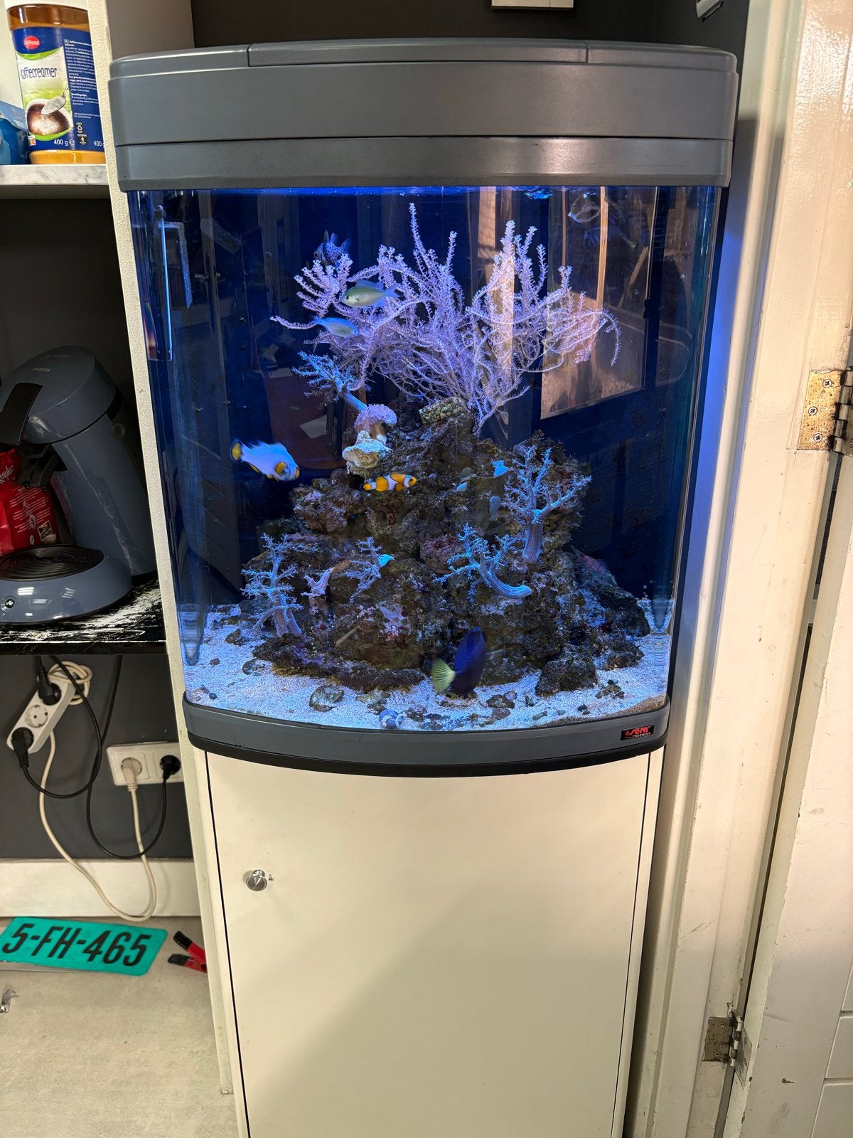 Zeeaquarium Sera marin 130 gevuld met meubel compleet koraal, Ophalen, Gevuld zeewateraquarium