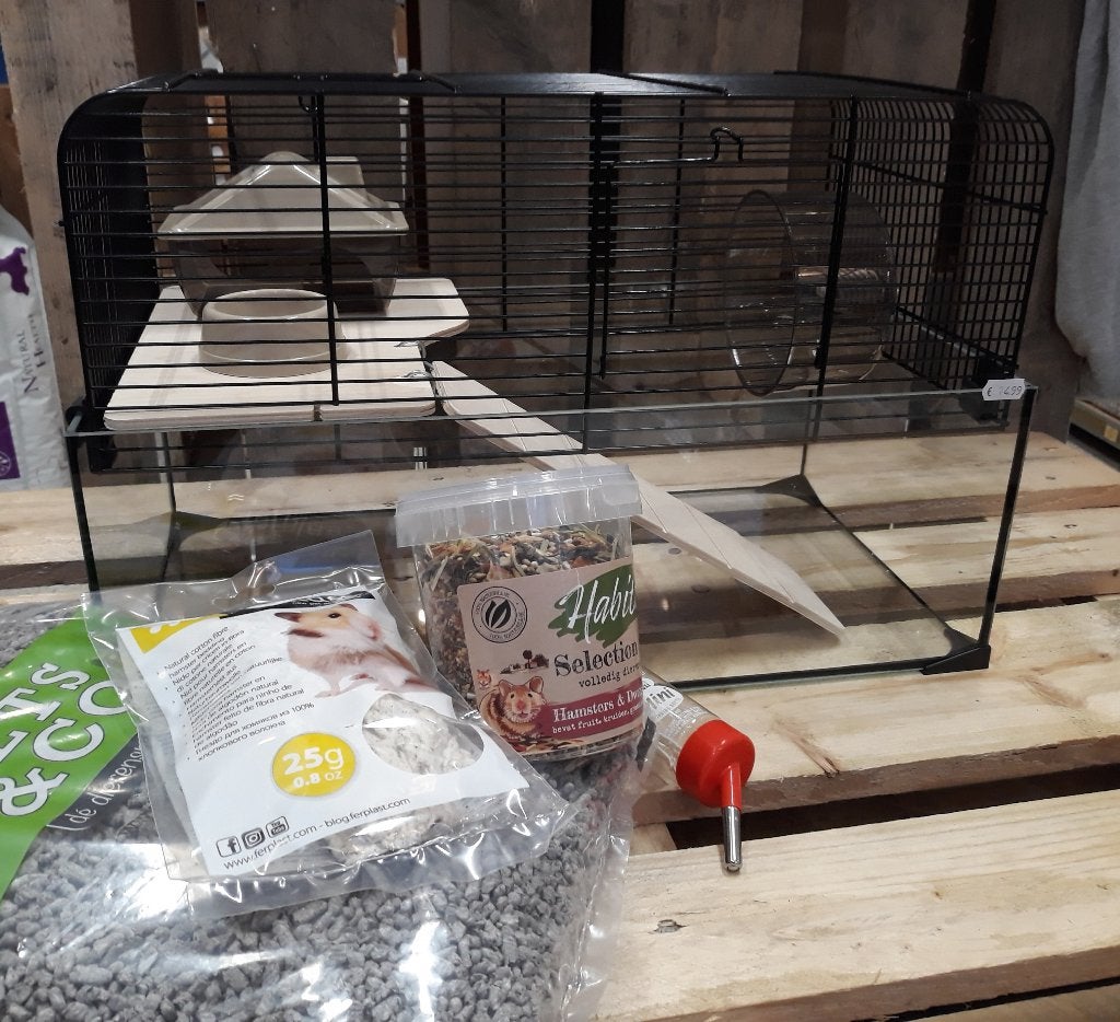 Complete hamster-set: dwerghamster, kooi en alle toebehoren, Dieren en Toebehoren, Knaagdieren, Hamster, Juli, Meerdere dieren