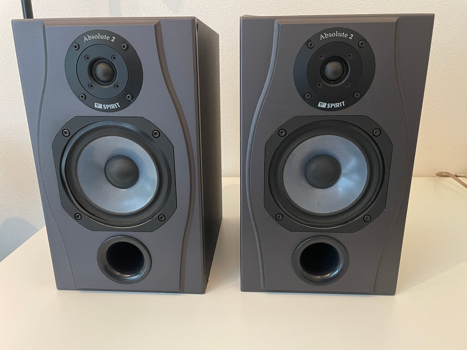 Spirit Absolute 2 Luidsprekers, Studiomonitor, Gebruikt, 60 tot 120 watt, Basreflex