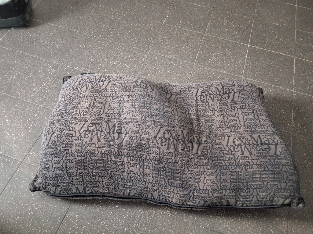 Hondenkussen, Ophalen of Verzenden, Zo goed als nieuw, Stof