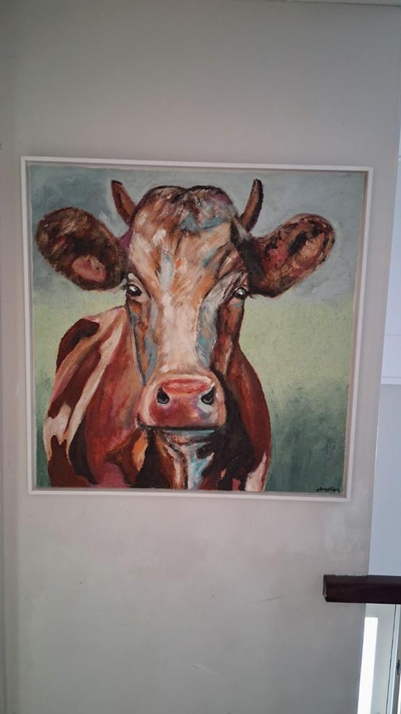 Schilderij koe 80x80 cm met lijst, Antiek en Kunst, Ophalen of Verzenden