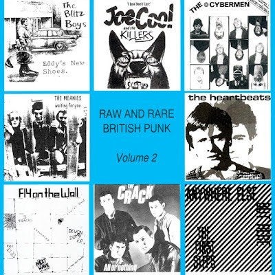 raw and rare british punk volume 2 / v/a - punk - ZELDZAAM, LP, Gebruikt, Verzenden, Punk Rock