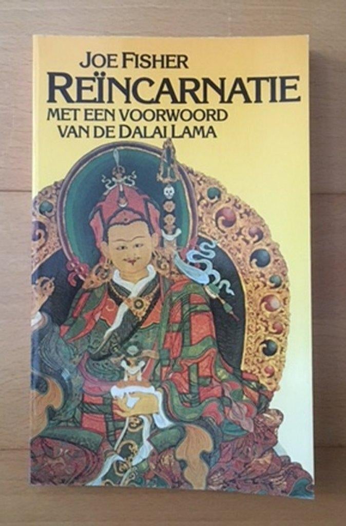 Reïncarnatie, Boeken, Achtergrond en Informatie, Ziel of Sterfelijkheid, Ophalen of Verzenden, Joe Fisher