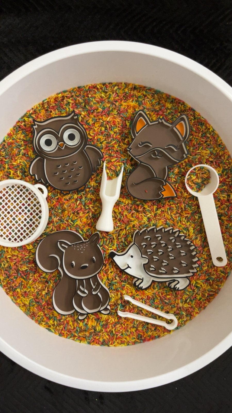 Sensorische speelset herfst, Kinderen en Baby's, Speelgoed | Educatief en Creatief, Hoogersmilde Beilervaart 1, Ophalen of Verzenden