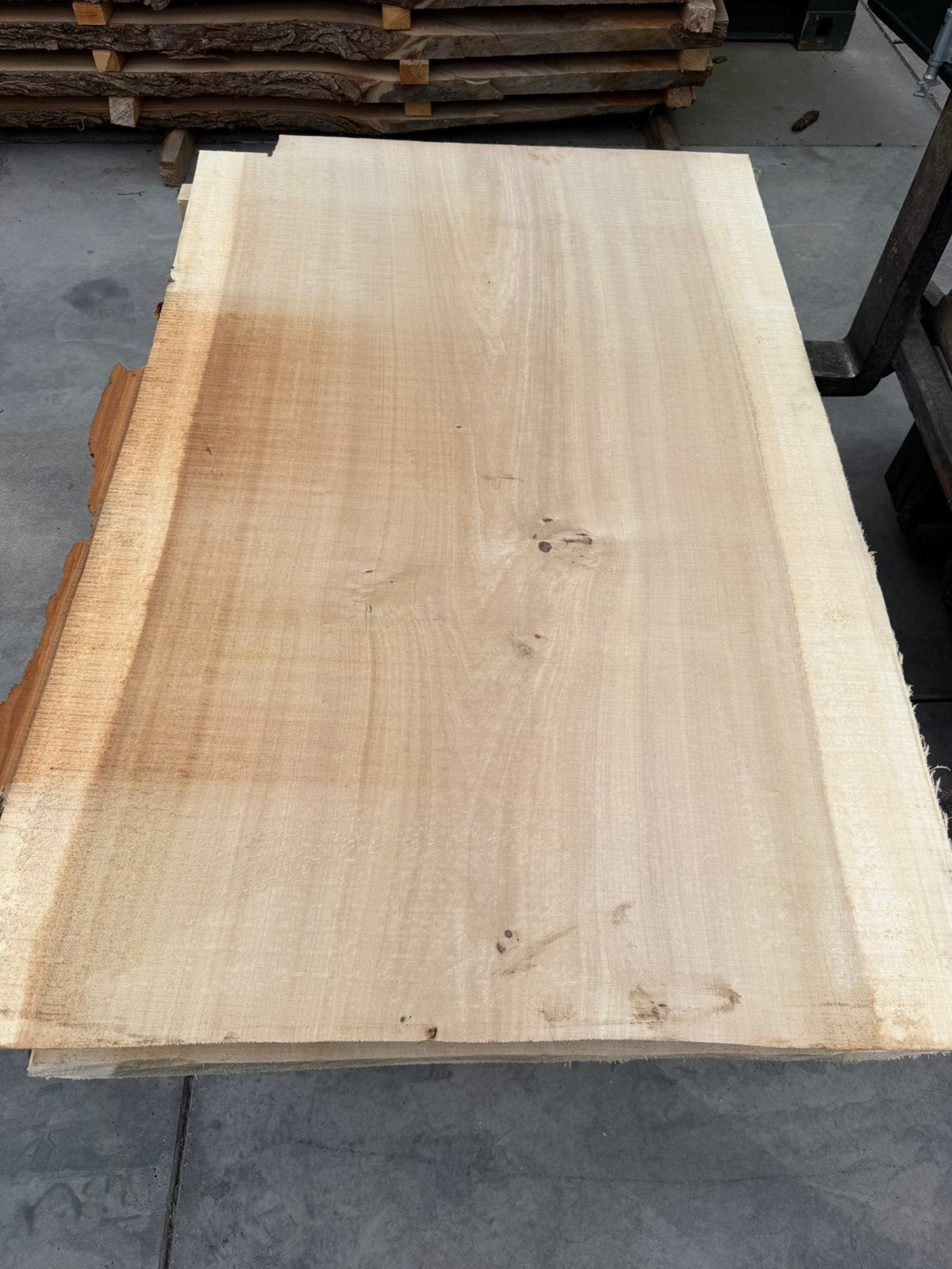 Grote boomstambladen 140x90x7 cm, Ophalen, Zo goed als nieuw, 250 cm of meer, Palen