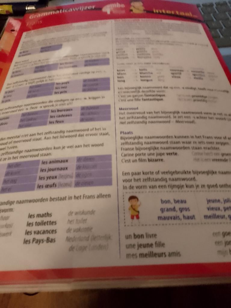 Frans grammatica vmbo eerste jaar, Boeken, Ophalen of Verzenden, Alpha, Zo goed als nieuw, Niet van toepassing
