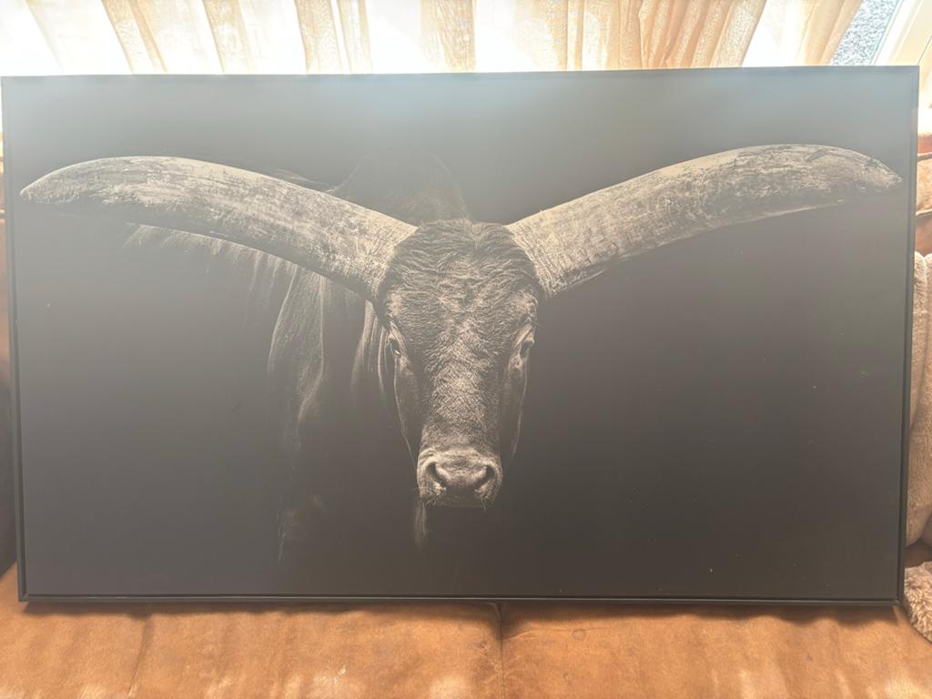 Indrukwekkend schilderij van een stier met grote hoorns, Ophalen