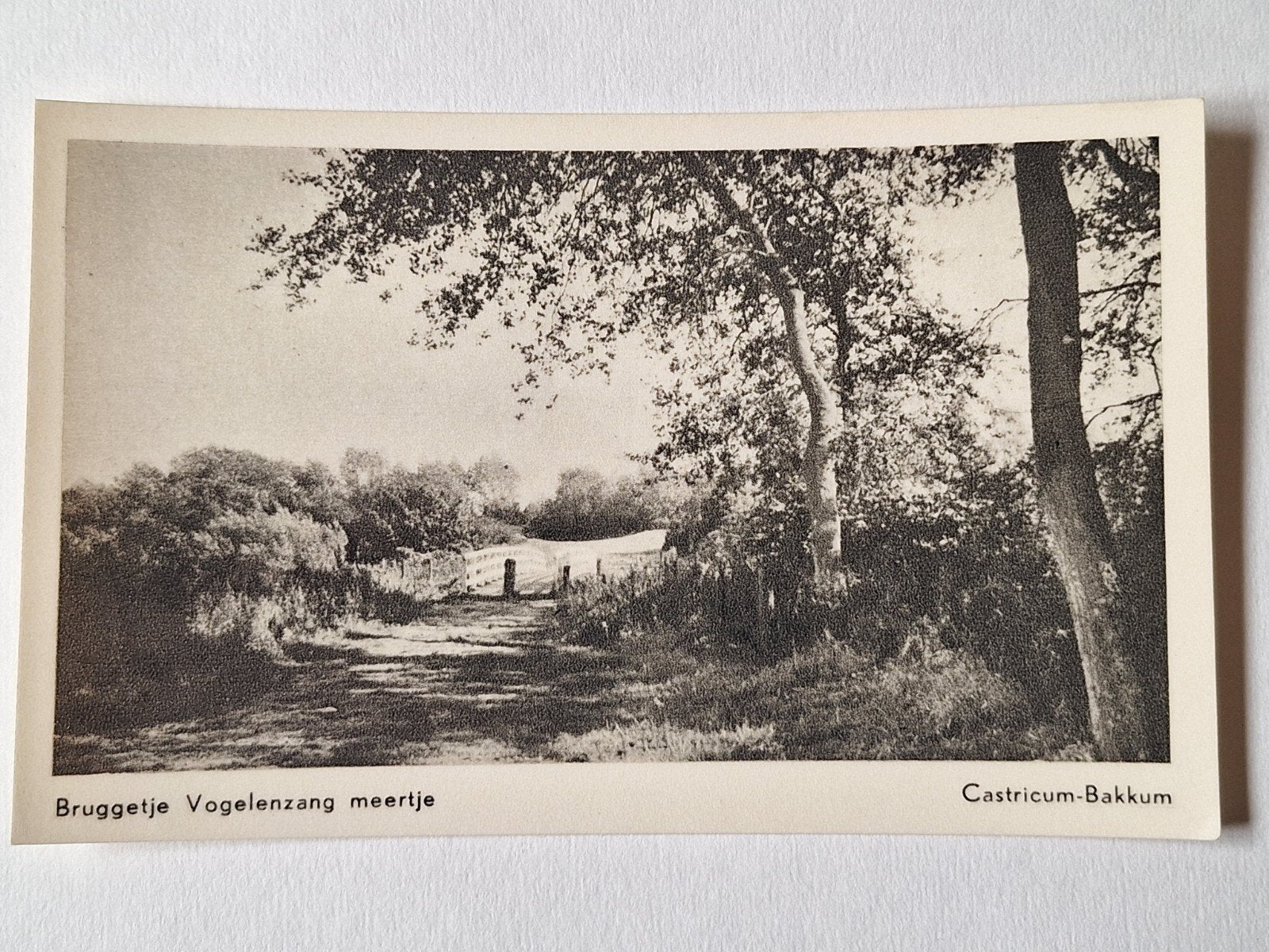 Castricum  Bakkum, Ophalen of Verzenden