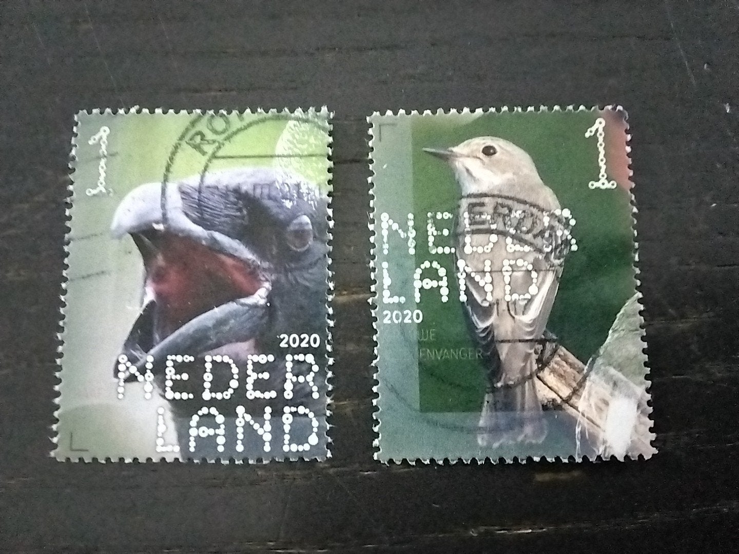 26124 Nederland Nederlandse natuur 2020 vogels, Ophalen of Verzenden, Gestempeld, Dier of Natuur