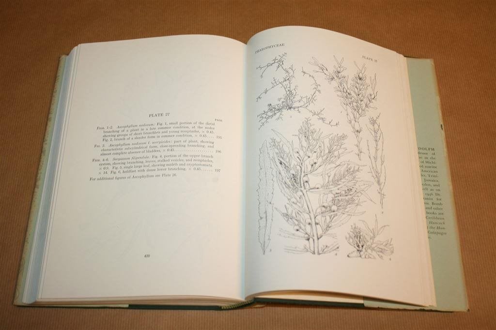 Marine Algae of the Northeastern Coast of North America, Ophalen of Verzenden, Gelezen, Natuurwetenschap