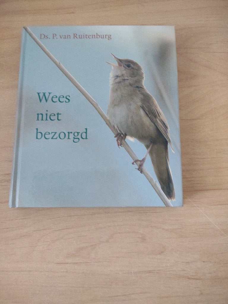 Wees niet bezorgd- Ds P van Ruitenburg, Ophalen of Verzenden, Zo goed als nieuw, Christendom | Protestants