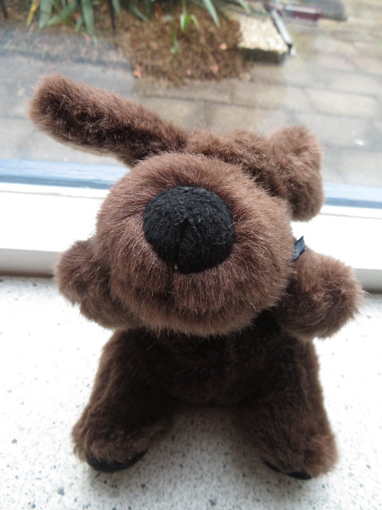 Hond of beer van Hema donker bruin pluche meet ca 18 cm, Hema, Wasbaar, Zo goed als nieuw, Klein (minder dan 20 cm)