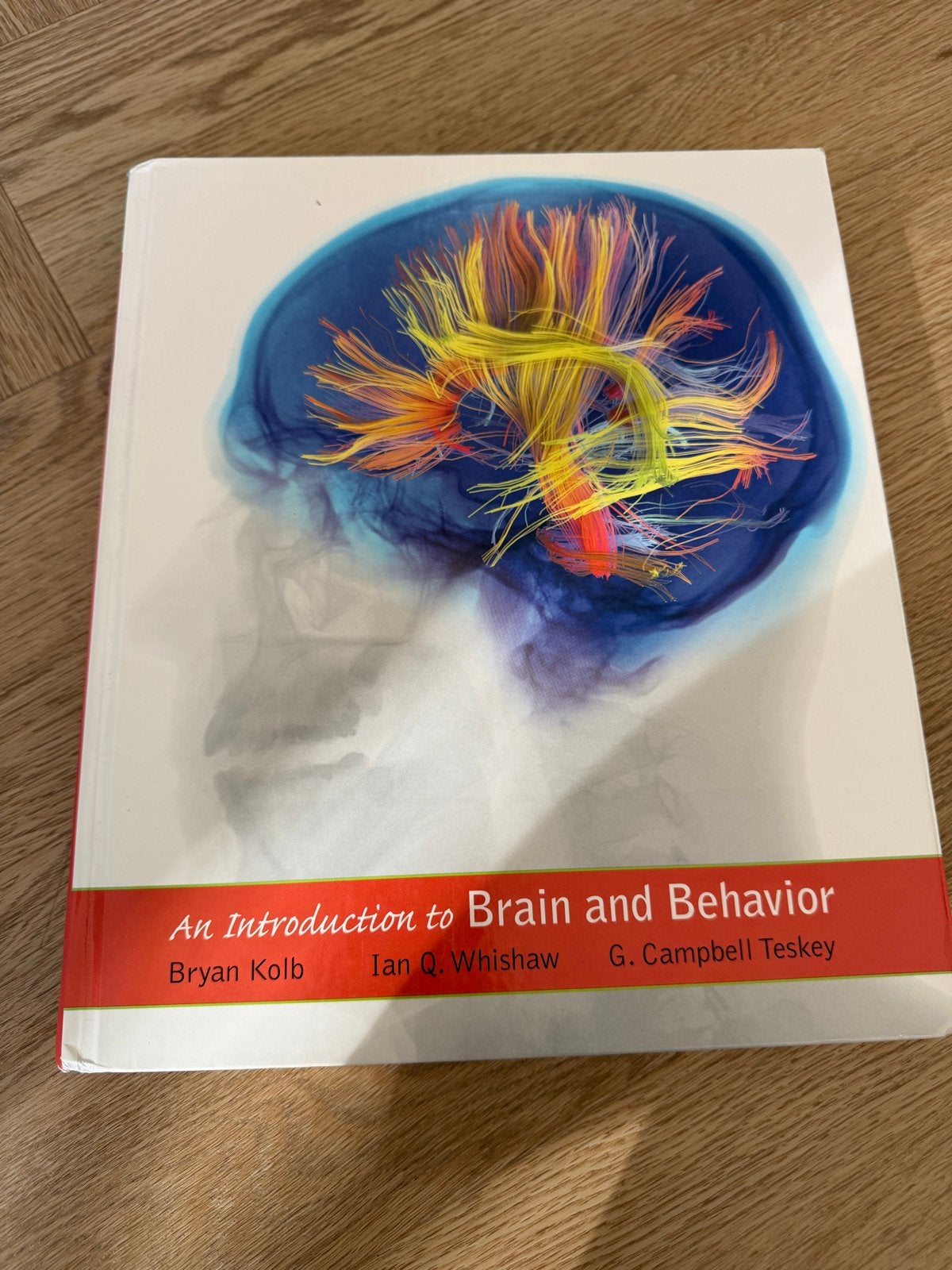 An Introduction to Brain and Behavior - Bryan Kolb, Boeken, Ophalen of Verzenden, Beta, Zo goed als nieuw, HBO