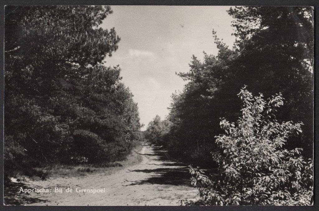 Appelscha, Bij de Grenspoel, gebruikt 1960, Verzamelen, Ophalen of Verzenden, 1940 tot 1960, Gelopen, Friesland