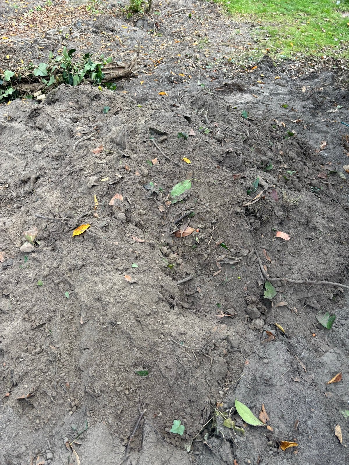 Gratis zwarte grond - Zelf opscheppen (ca. 10 kuub), Ophalen, Gebruikt, Overige typen