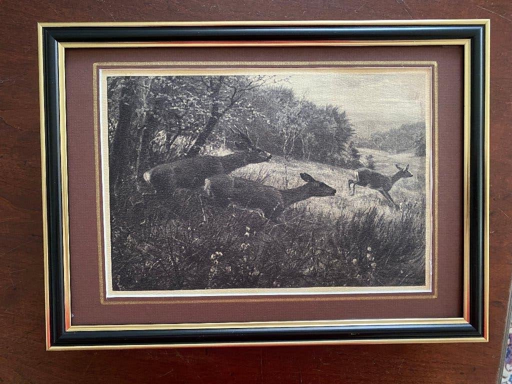 Jagen jacht, jachttafereel. Ree-bronst, 33 cm, Overige technieken, Ophalen of Verzenden, Met passe-partout