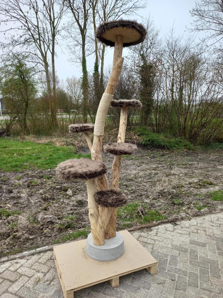 XL krabpaal, klimboom, boomstam krabpaal, Ophalen, Nieuw, Krabpaal