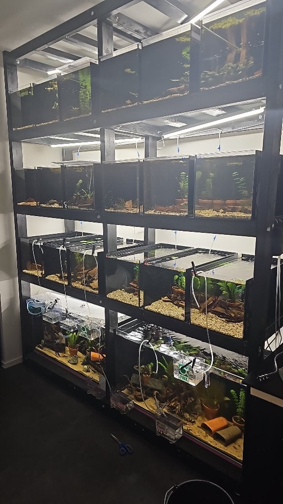 Aquarium kweek set, Dieren en Toebehoren, Ophalen, Verwarming, Zo goed als nieuw, Leeg aquarium
