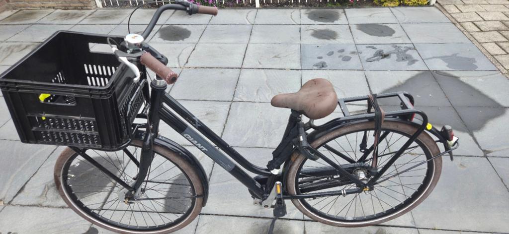 Giant Triple X Dames/jongens fiets met Voordrager en Mand, Terugtraprem, 53 tot 56 cm, Gebruikt, Giant