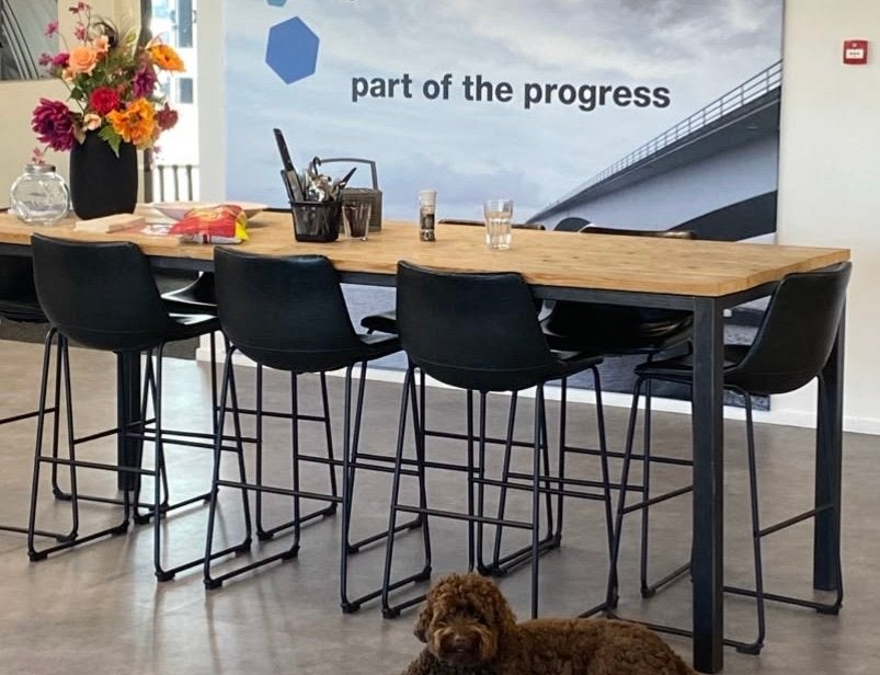 Hoge eettafel/ vergadertafel met 8 leren kuipstoeltjes, Huis en Inrichting, Ophalen, Gebruikt, Inclusief barstoelen