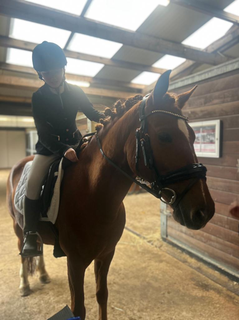 Verzorgpony gezocht/bijrijder aangeboden, Dieren en Toebehoren, Verzenden, Zo goed als nieuw