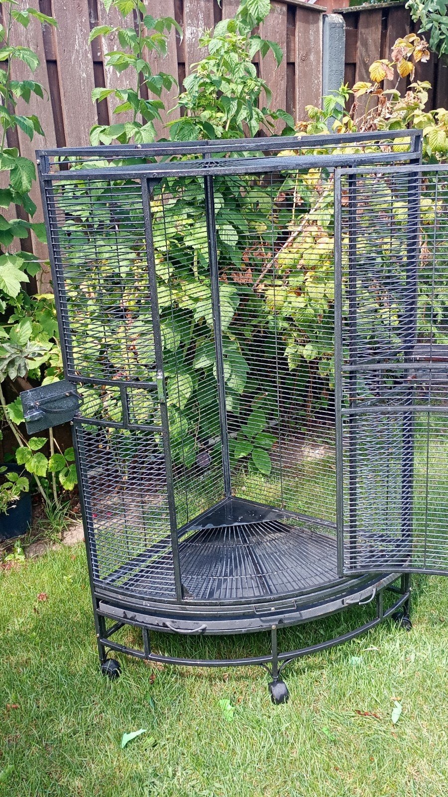 mooie papegaai/vogel kooi, Ophalen of Verzenden, Zo goed als nieuw, Metaal, Vogelkooi