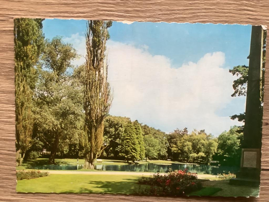 ansichtkaart Rijssen, Verzamelen, Ophalen of Verzenden, Gelopen