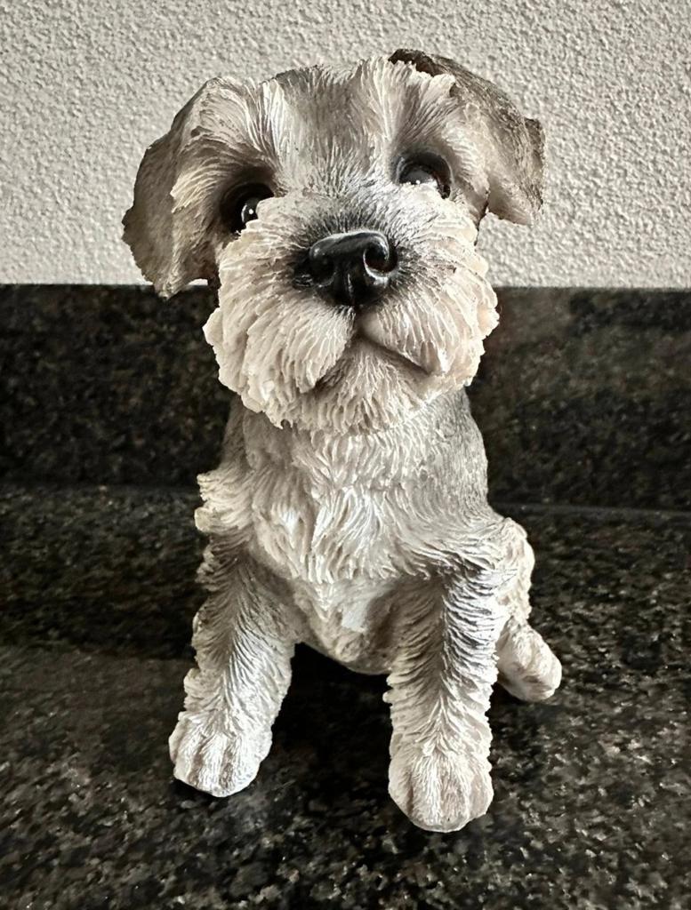 Schattig Schnauzer Puppy Beeld - 16 cm hoog, Ophalen of Verzenden, Zo goed als nieuw, Dier