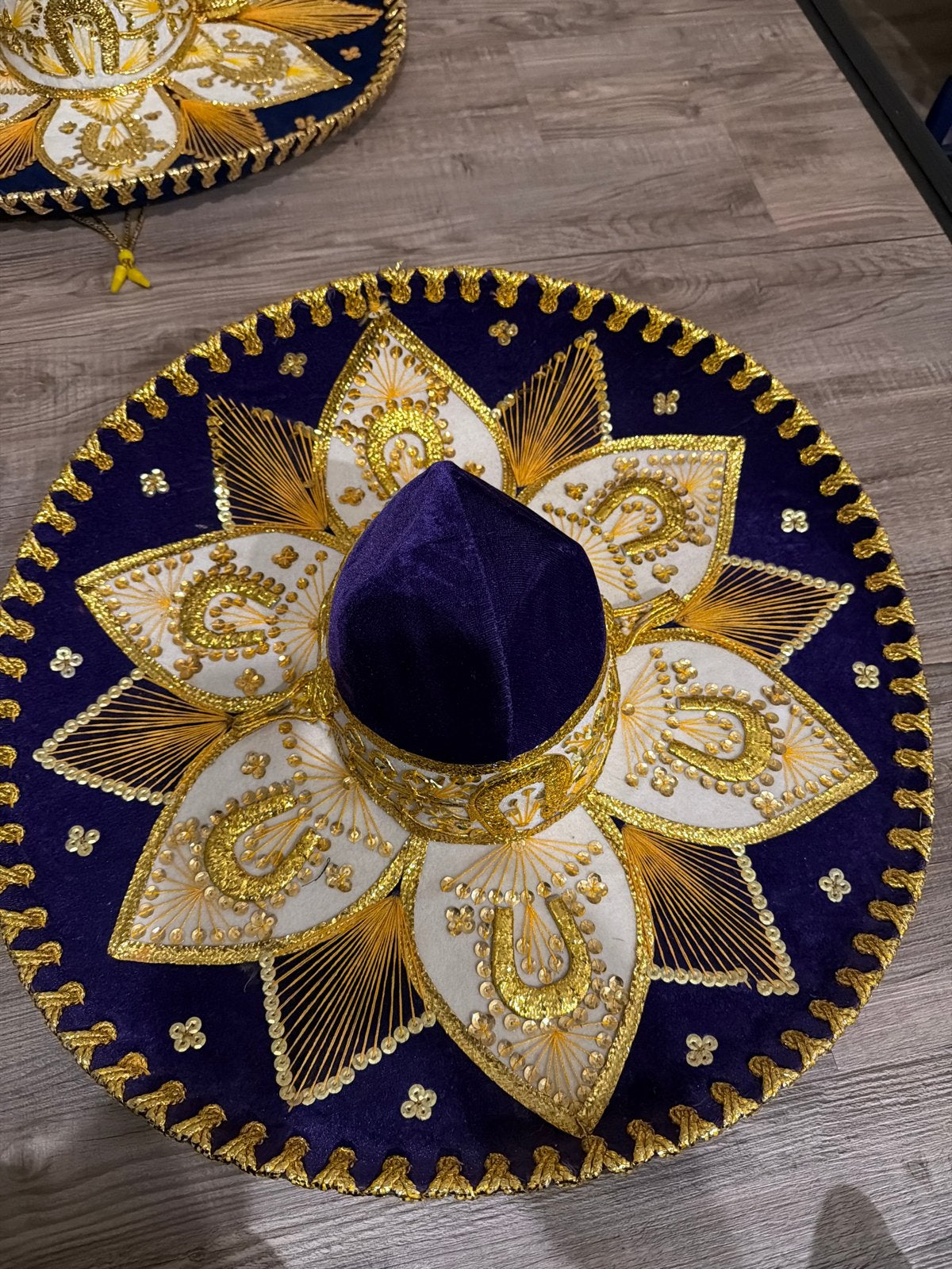 Prachtige Mexicaanse Sombrero - Salazar Yepez, Kleding | Dames, Hoeden en Petten, Zo goed als nieuw, Hoed, One size fits all, Ophalen of Verzenden
