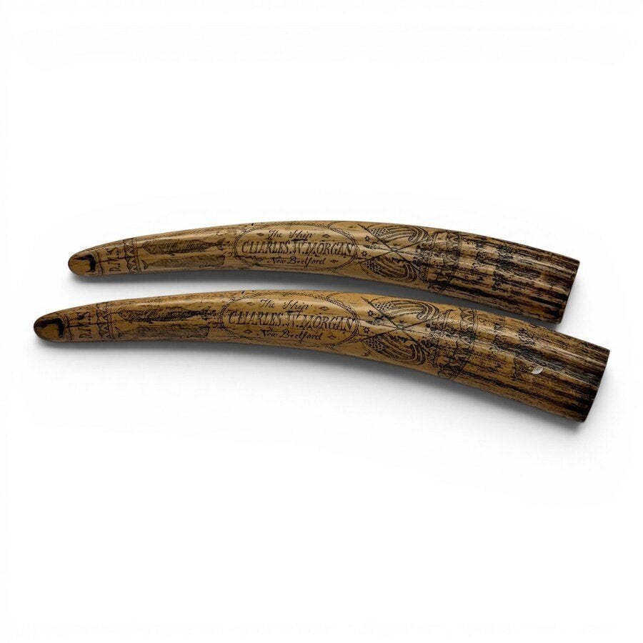 Twee replica scrimshaw walrustanden, Ophalen of Verzenden