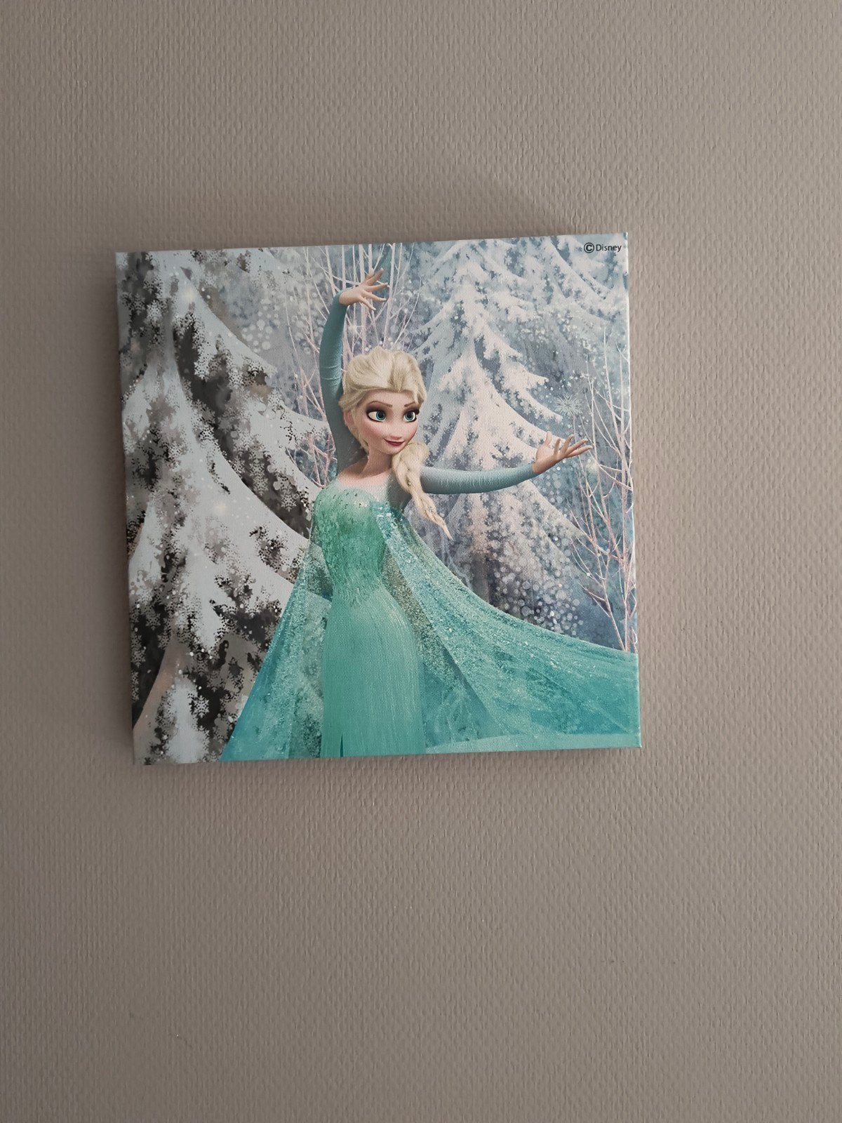 Disney Frozen Canvas Schilderijen - Olaf, Sven, Anna & Elsa, Ophalen of Verzenden, Overige figuren, Zo goed als nieuw, Plaatje of Poster