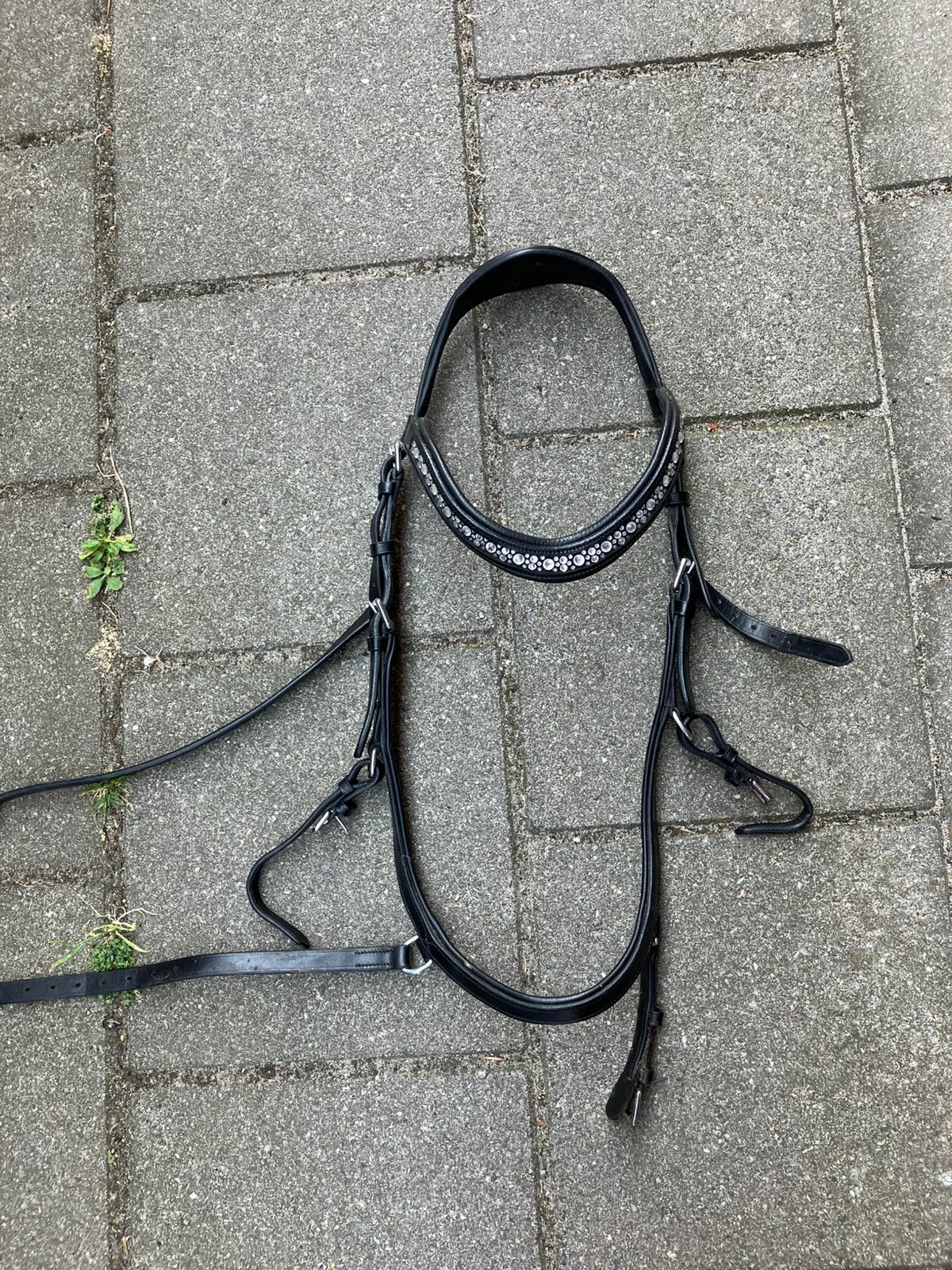 Torsy hoofdstel met extra neusriem, Hoofdstel, Ophalen of Verzenden, Full, Zwart