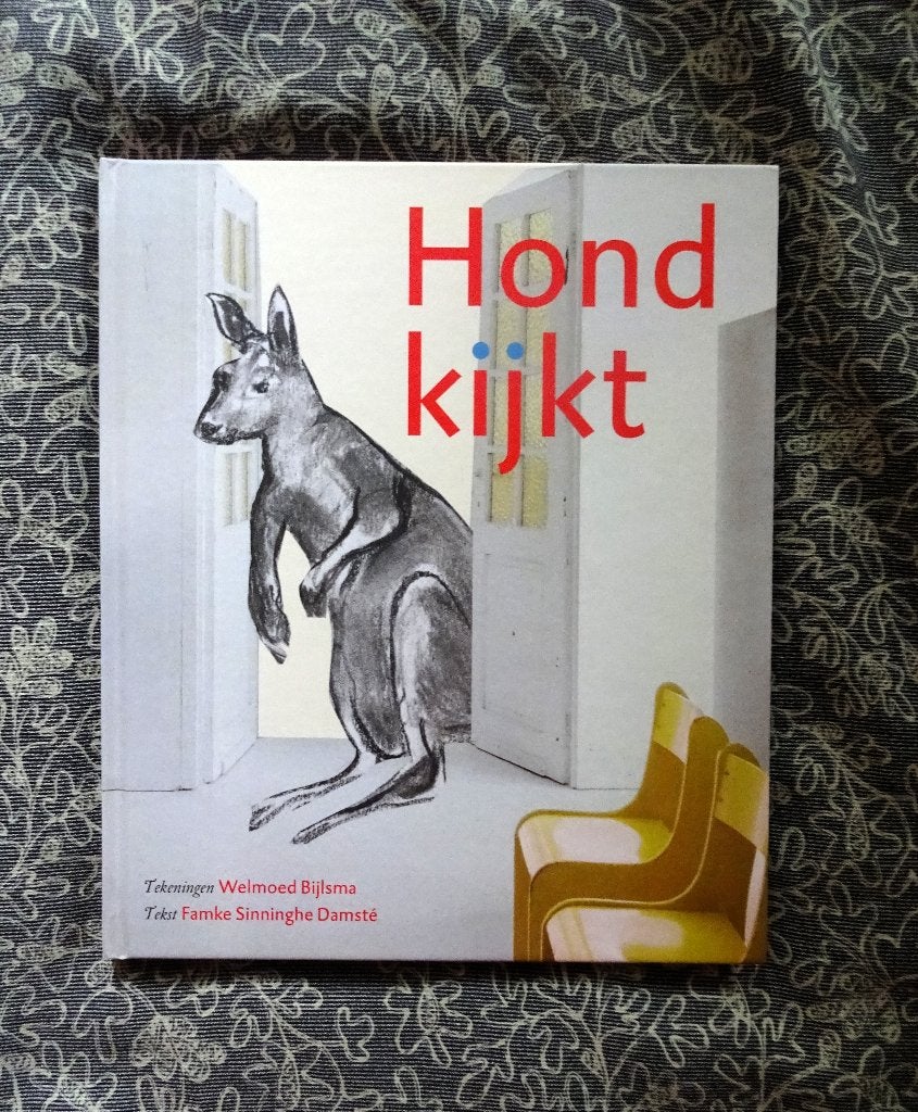 Hond kijkt - Famke Sinninghe Damsté, Boeken, Verzenden, Zo goed als nieuw