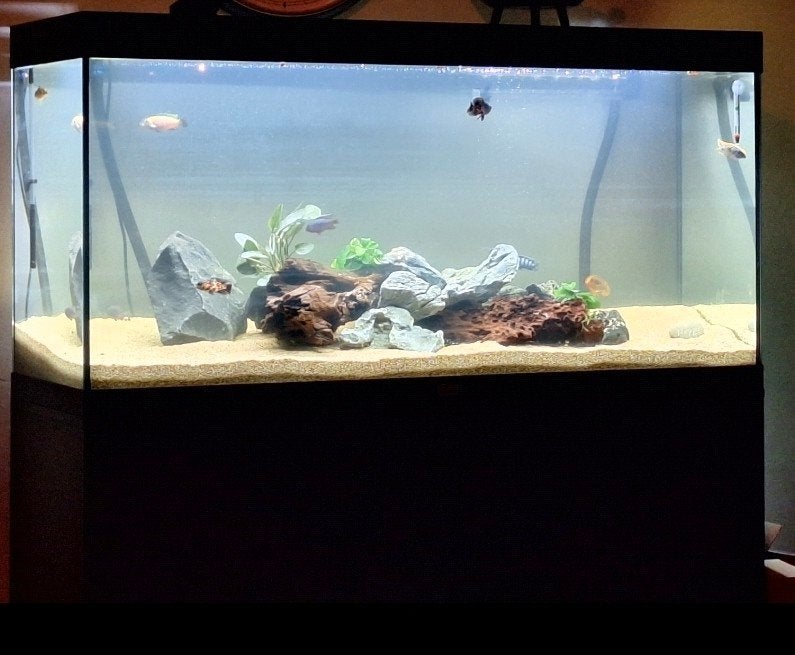 Aquariumstenen / Seiryu-stijl rotsen - 20-40kg -, Ophalen, Gebruikt, Overige typen