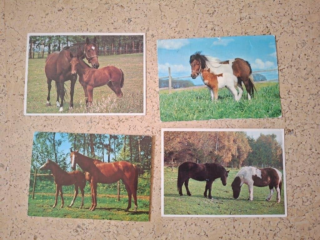 4 ansichten met paarden, Ophalen of Verzenden, Gelopen, Drenthe