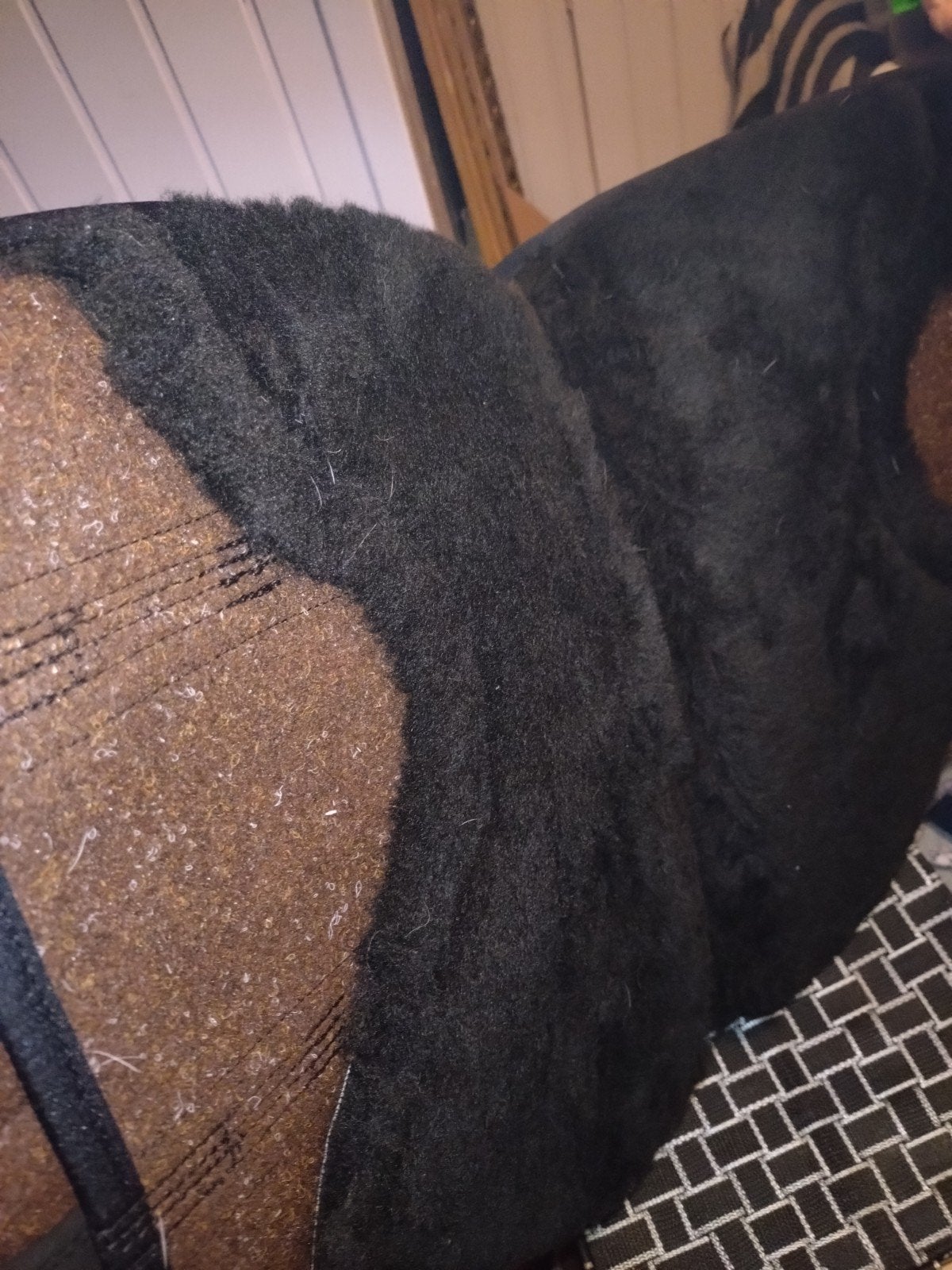 Foto 4 van Grandeur reitpad barebackpad