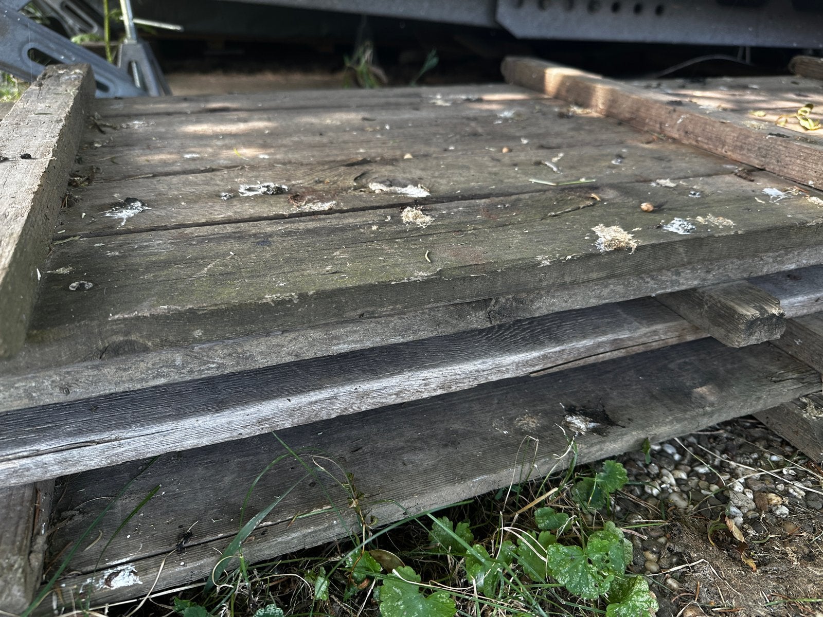 Vlonderplaten/vloerdelen 0,5 x 5m 4st, Ophalen, Gebruikt, Hout