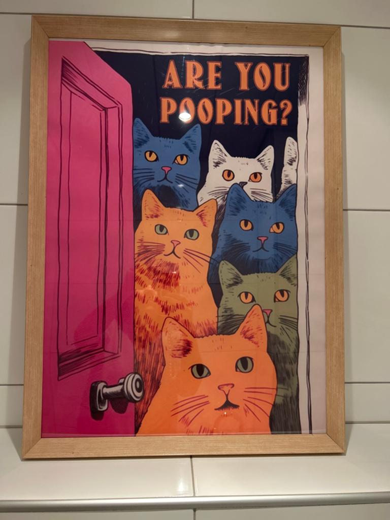 Grappige katten poster "Are you pooping?" met lijst, Minder dan 50 cm, 50 tot 75 cm, Ophalen of Verzenden, Zo goed als nieuw