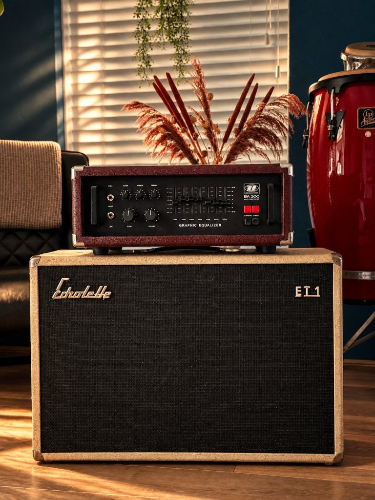 Dynacord BA-300 buizen amp + Echolette 2x12 Eminence Neo, Ophalen, Gebruikt, Basgitaar, 100 watt of meer