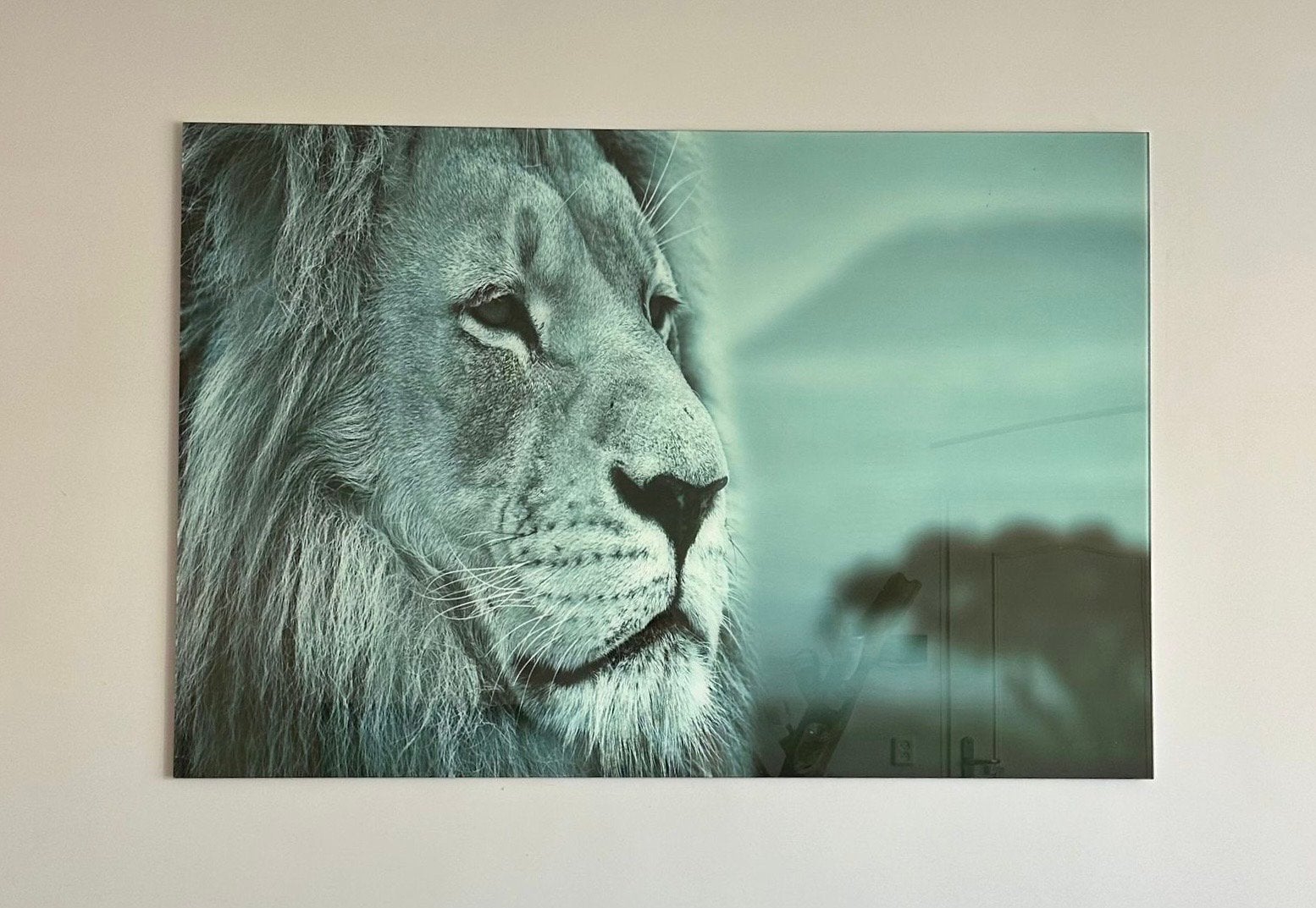 Afdruk op glas leeuw (120x80 cm), Ophalen, 100 tot 125 cm, 75 cm of meer, Print