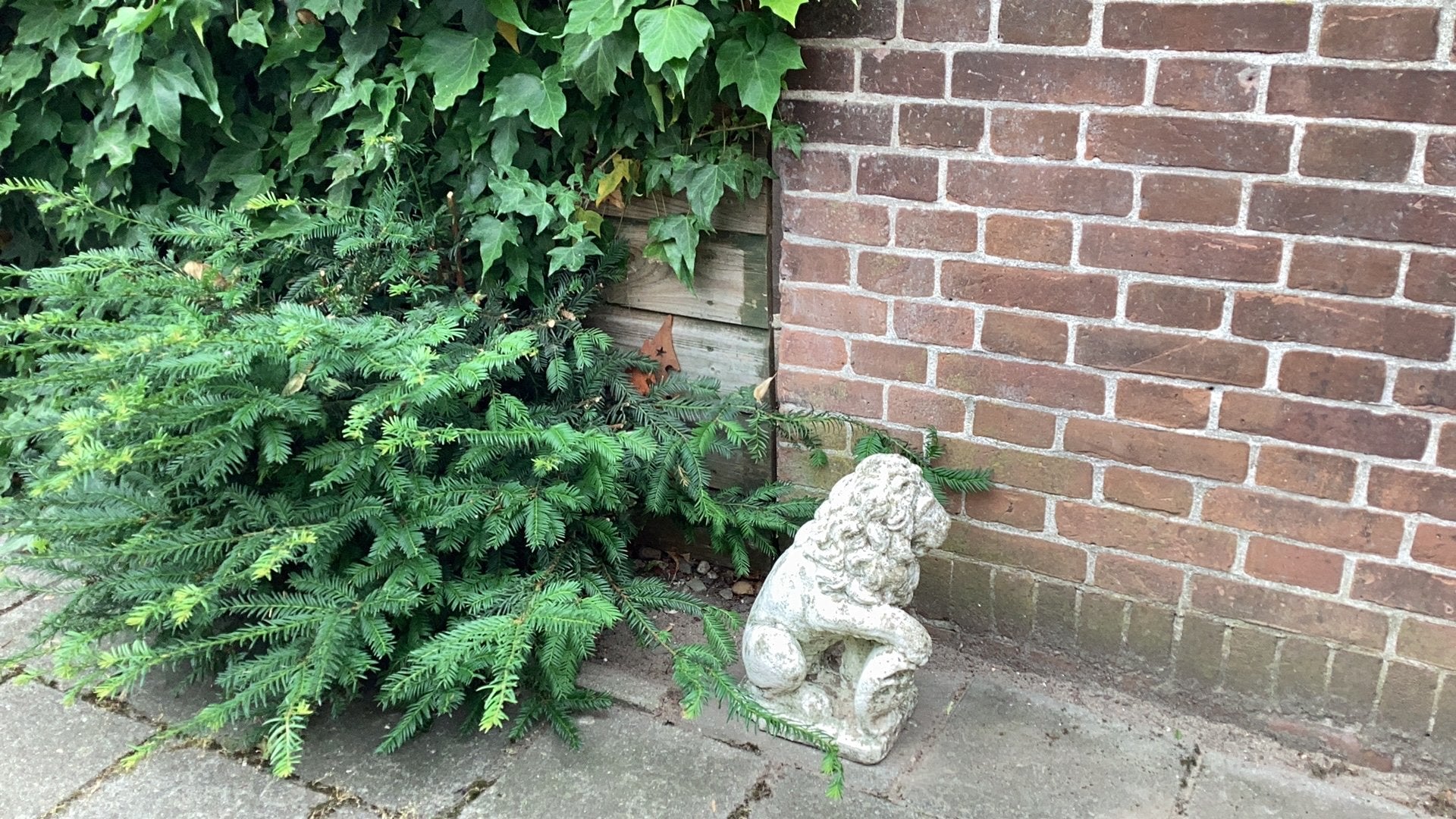 Leeuw, hoogte ca. 40 cm, Tuin en Terras, Ophalen, Gebruikt, Beton, Dierenbeeld