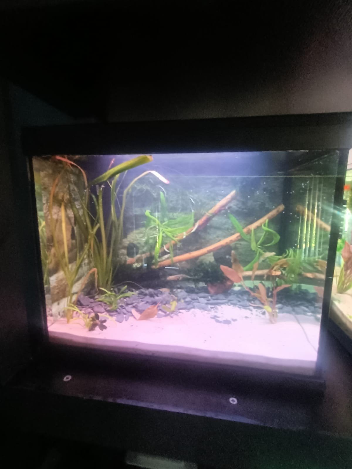Mooie Complete aquarium van 50 liter in Rotterdam, Ophalen, Zo goed als nieuw, Leeg aquarium