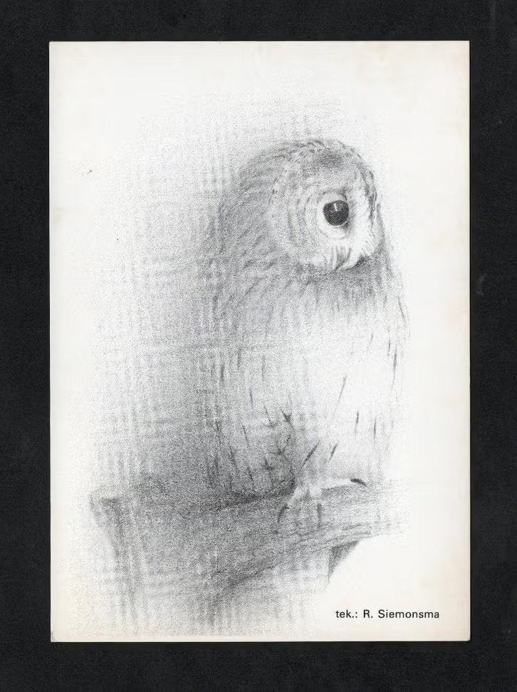 Kaart Kerkuil Tyto Alba door R. Siemonsma., Ophalen of Verzenden, 1980 tot heden, Ongelopen, Vogel